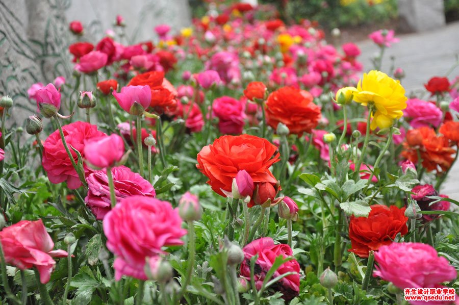 齊生設計職業學校2015年3月校外學習照片9